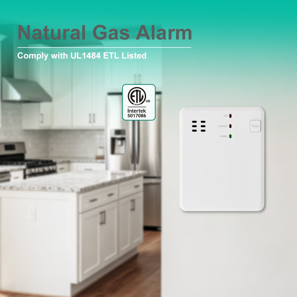 Battery operated Gas Detector Alarm UL 1484 Standard AJ-989